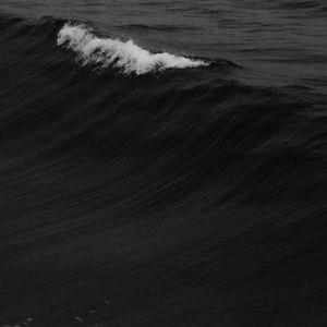 Meet your Posher, Gabi